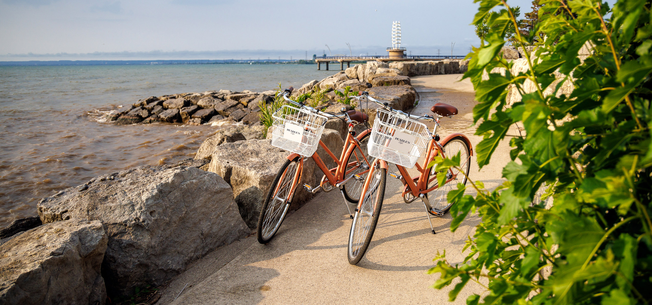 Pearle Café bicycles on the lake front path in Burlington